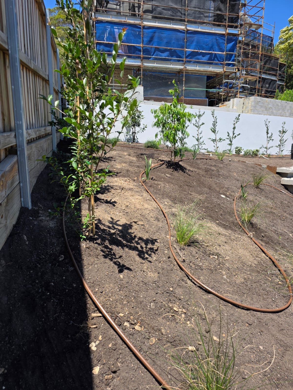 Kayssa landscape design project 15 in Western Sydney