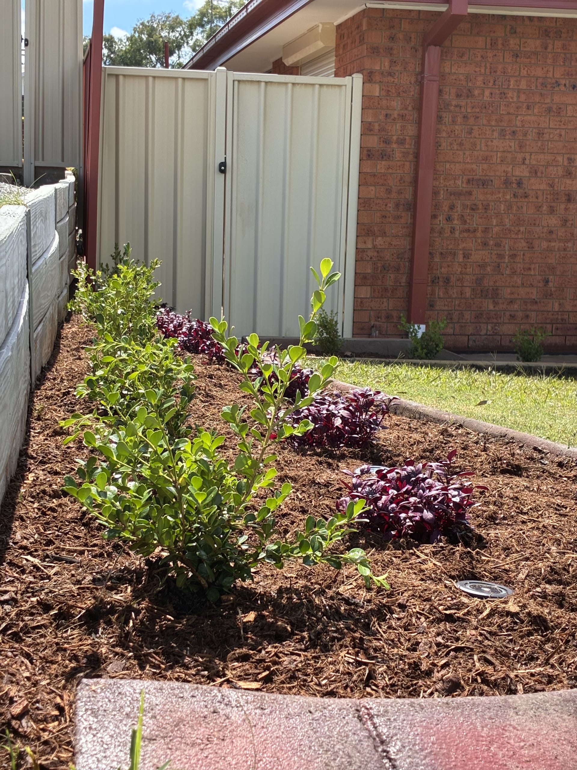 Kayssa landscape design project 27 in Western Sydney