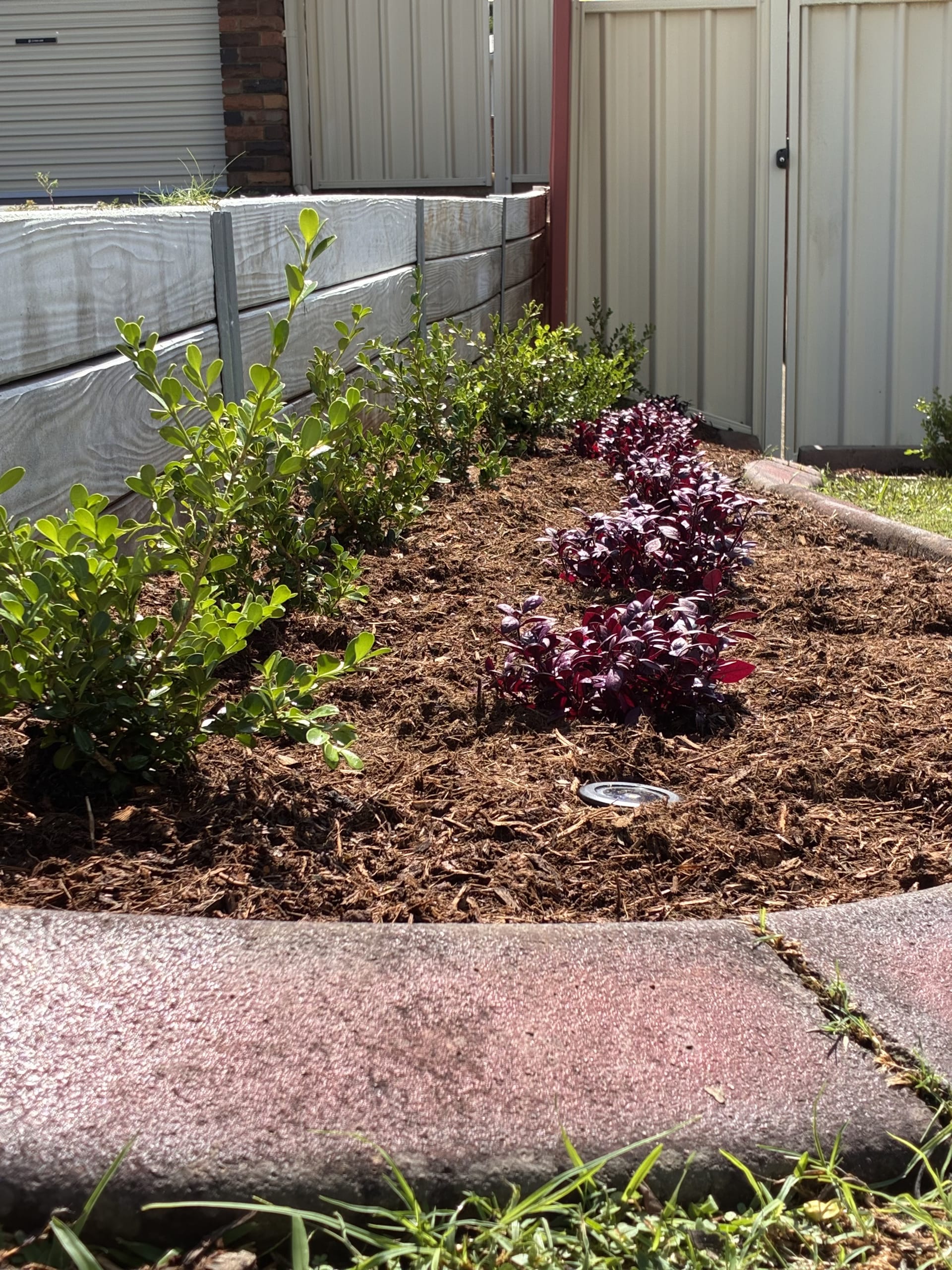Kayssa landscape design project 28 in Western Sydney