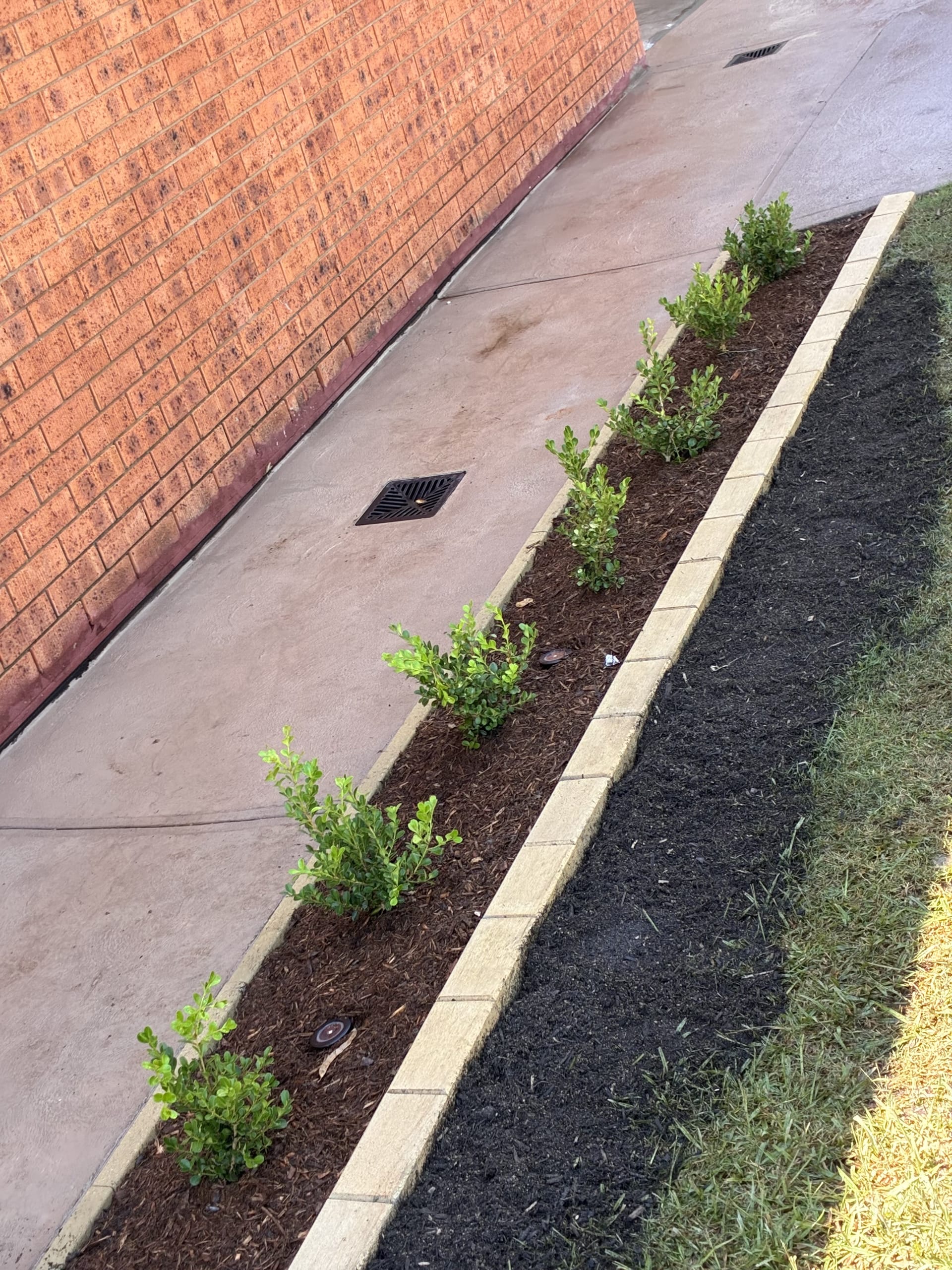 Kayssa landscape design project 30 in Western Sydney