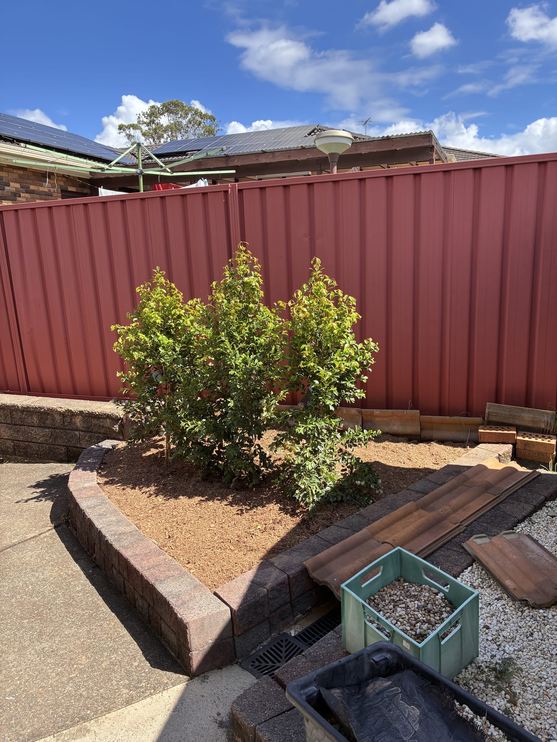 Kayssa landscape design project 31 in Western Sydney