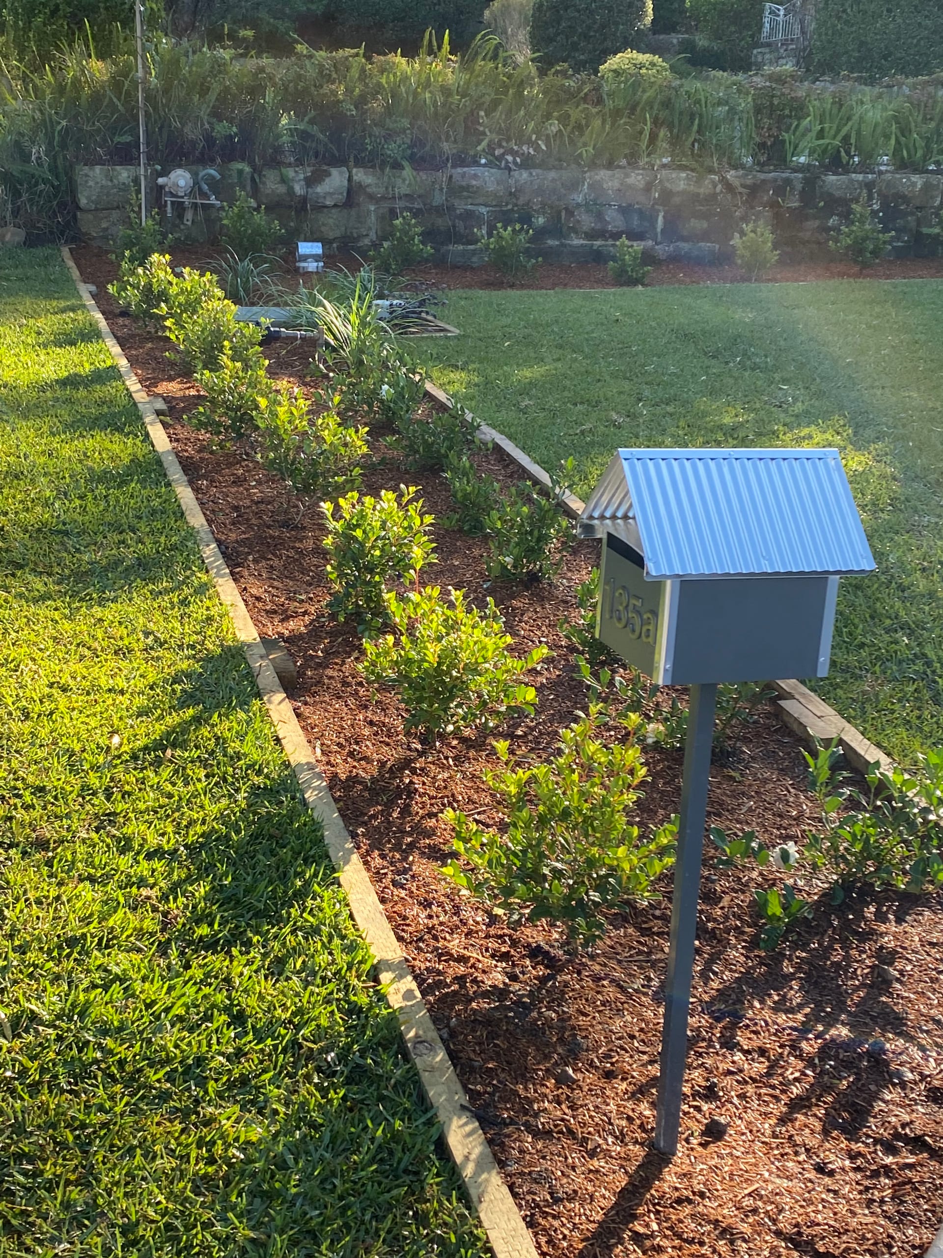Kayssa landscape design project 42 in Western Sydney