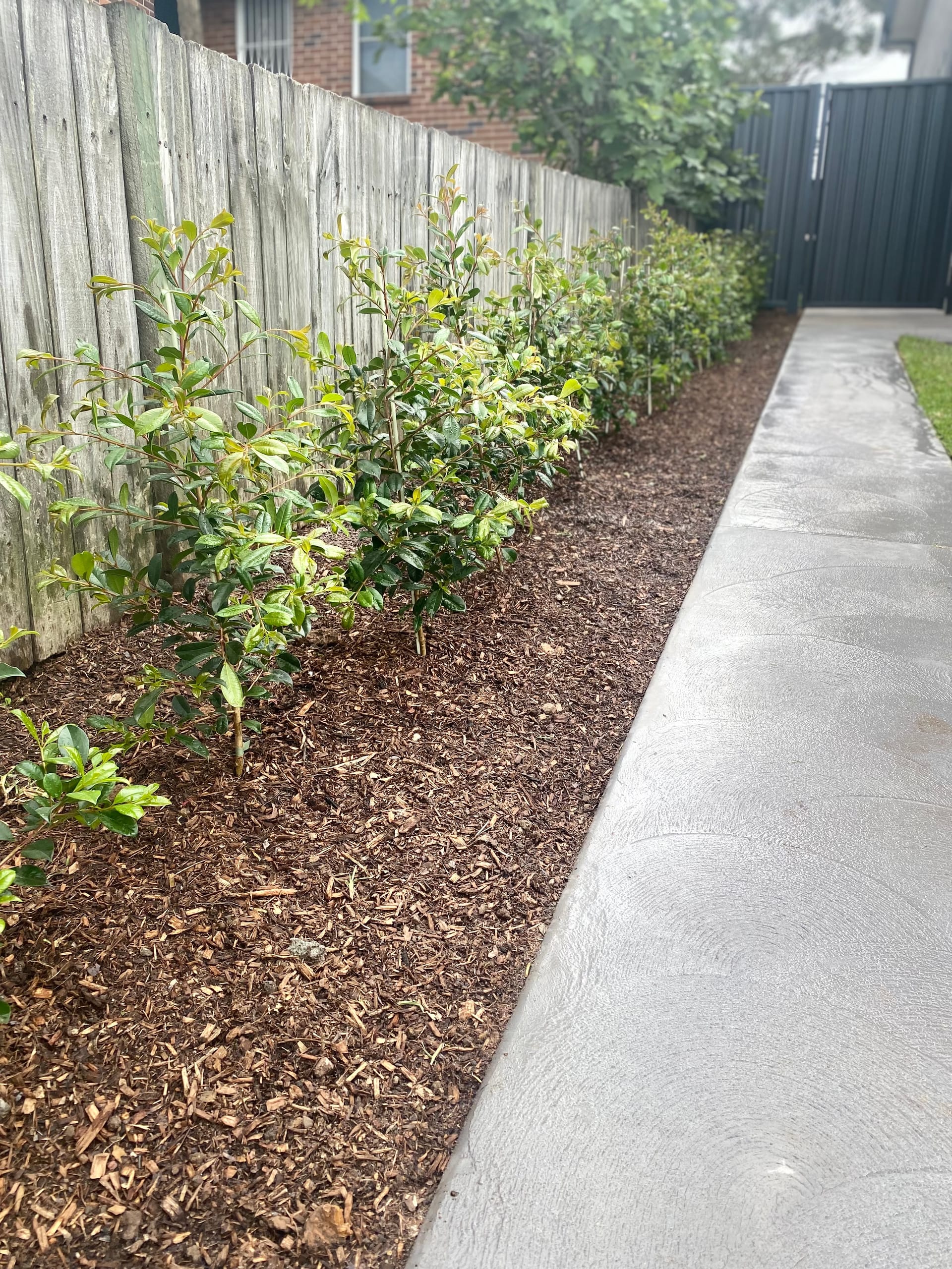 Kayssa landscape design project 45 in Western Sydney