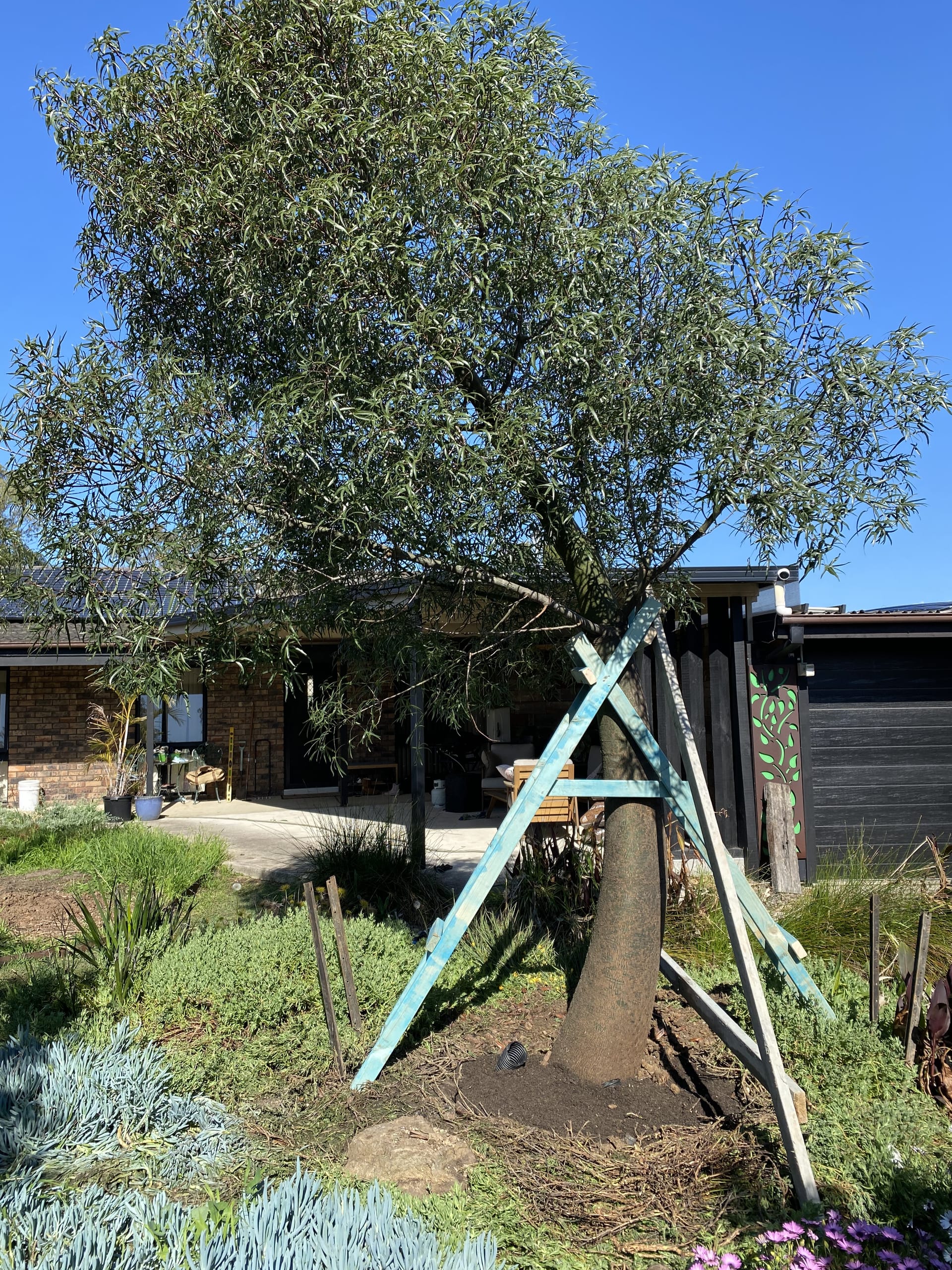 Kayssa landscape design project 36 in Western Sydney